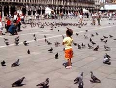 Family vacations in Venice